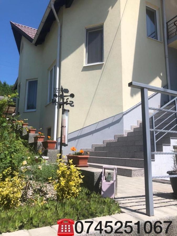 Casa Alessias Hotel Vişeu de Sus Eksteriør billede