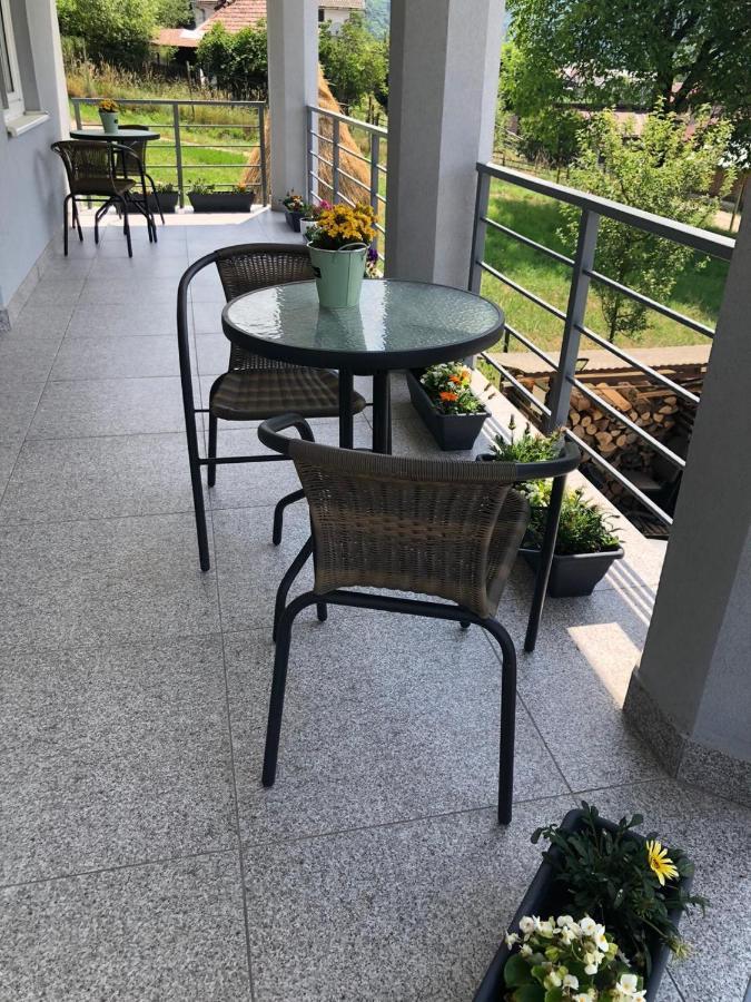 Casa Alessias Hotel Vişeu de Sus Eksteriør billede