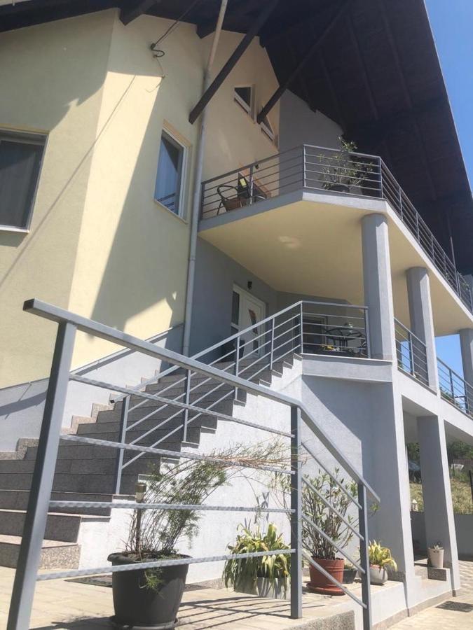 Casa Alessias Hotel Vişeu de Sus Eksteriør billede